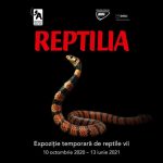 expozitie temporara reptile vii, muzeul antipa