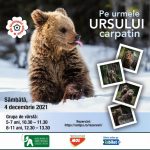 Muzeul Antipa – Pe urmele ursului carpatin – Ateliere online