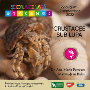 muzeul antipa, crustacee sub lupa, crustacee