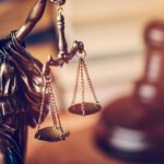 Adrian Toni Neacșu – Legile justiției nu pot fi adoptate decât după organizarea unui referendum