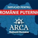 partidul arca natiunii romane, panr, partidul arca