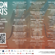 uniunea de creatie interpretativa a muzicienilor din romania, ucimr, festivalul icon arts transilvania
