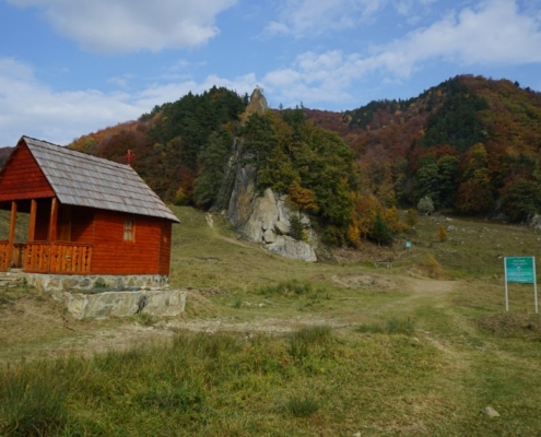 poiana cozanei, muntii buzaului, tara luanei