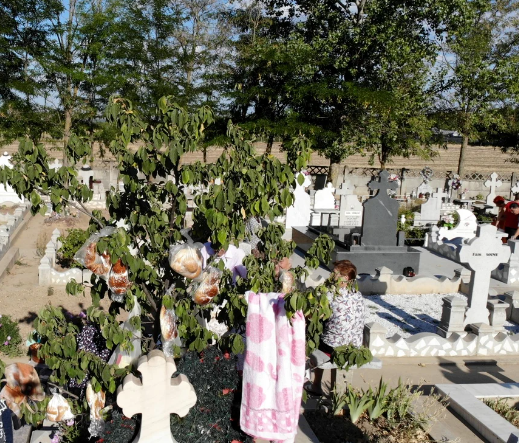 pomul de sfantul ilie, traditii si superstitii culturale romanesti, sfantul ilie, santilie, profetul de foc