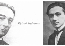 pastorel teodoreanu