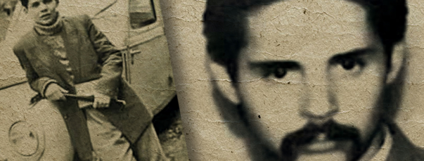 nicolae labis