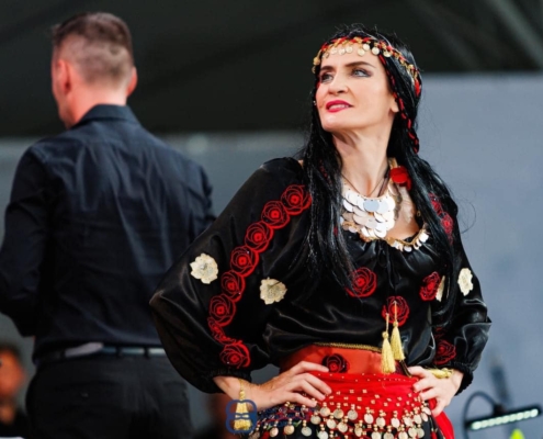 mesterul manole, voievodul tiganilor, ziua timisoarei