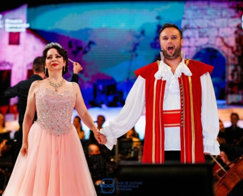 mesterul manole, voievodul tiganilor, ziua timisoarei