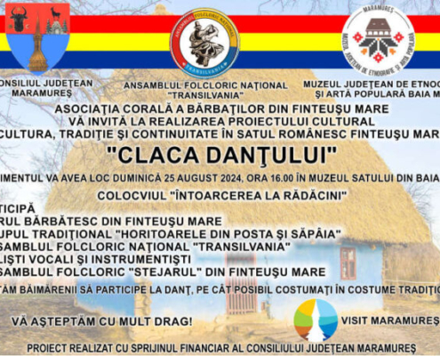 muzeul satului baia mare, claca dantului