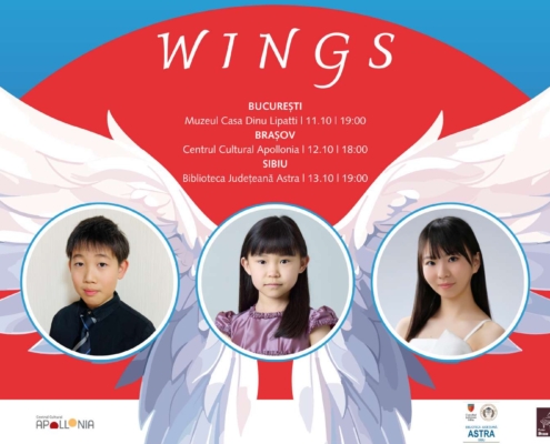 wings, mini-turneul artistilor japonezi in romania