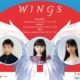 wings, mini-turneul artistilor japonezi in romania