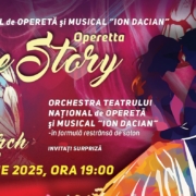 operetta love story, teatrul ion dacian