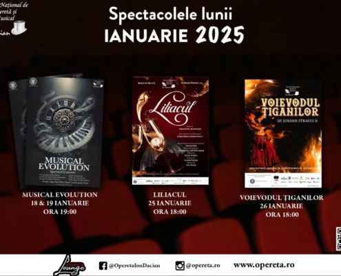 Program Teatrul Naţional de Operetă şi Musical „Ion Dacian” – luna ianuarie 2025