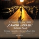 oamenii si orasul, octavian pavel