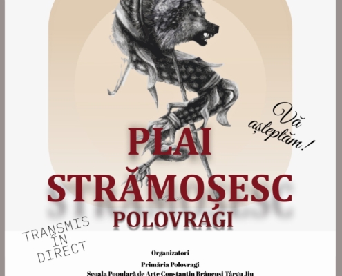 Cristian Horgoș – Festival de Teatru pentru Amatori „Plai strămoșesc” lângă Tabăra de sculptură dacică de la Polovragi pe 23-25 mai 2025