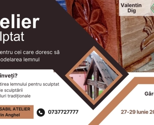 Asociația Pământul Strămoșesc vă invită la Atelierul de sculptură în lemn, cu meșterul Valentin Dig, pe 27-29 iunie 2025