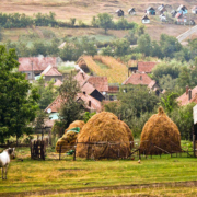 Salvați gospodăria țărănească, TEZAURUL României! Apelul cercetătorului Costel Vânătoru