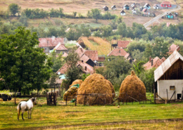 Salvați gospodăria țărănească, TEZAURUL României! Apelul cercetătorului Costel Vânătoru Salvați gospodăria țărănească, TEZAURUL României! Apelul cercetătorului Costel Vânătoru