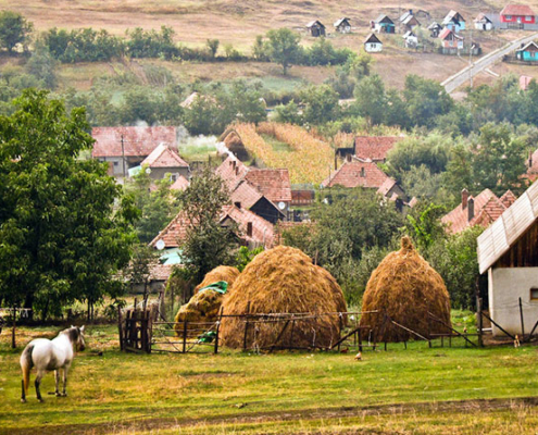 Salvați gospodăria țărănească, TEZAURUL României! Apelul cercetătorului Costel Vânătoru