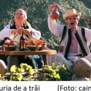 via, vinul si bucuria de a trai