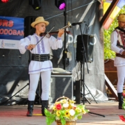 dorel codoban, vioara cu goarna