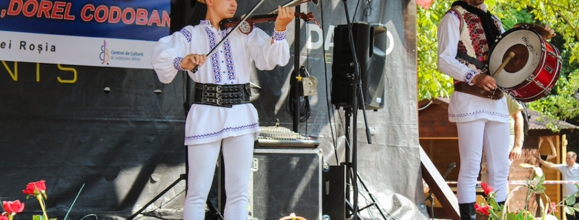 dorel codoban, vioara cu goarna