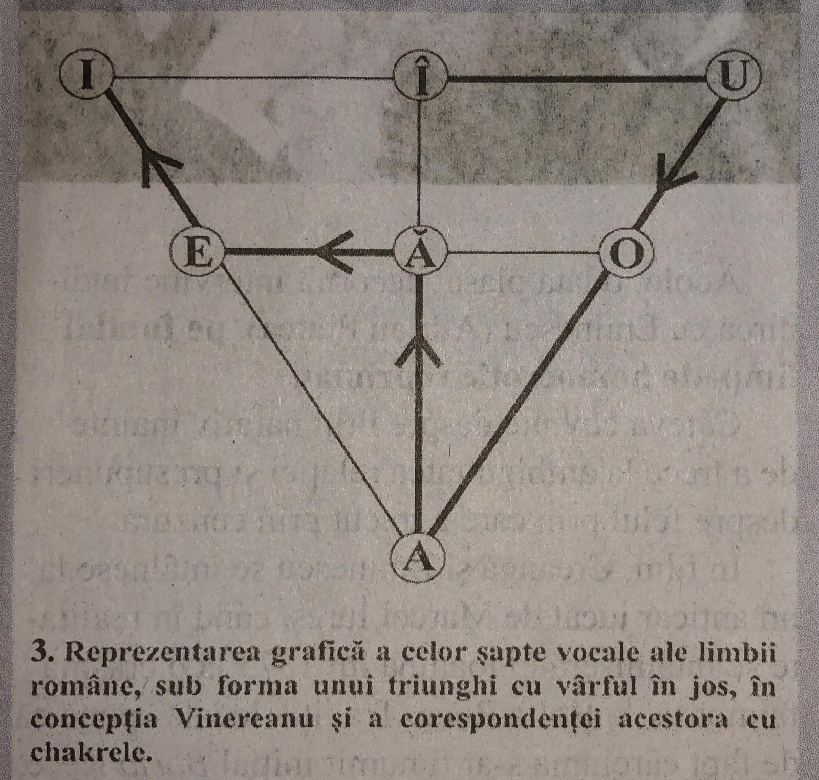 Fig. 3. Reprezentarea grafică a celor șapte vocale ale limbii române, sub forma unui triunghi cu vârful în jos, în concepția Vinereanu și a corespondenței acestora cu chakrele. Fig. 3. Reprezentarea grafică a celor șapte vocale ale limbii române, sub forma unui triunghi cu vârful în jos, în concepția Vinereanu și a corespondenței acestora cu chakrele.