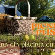 picnic in pusta