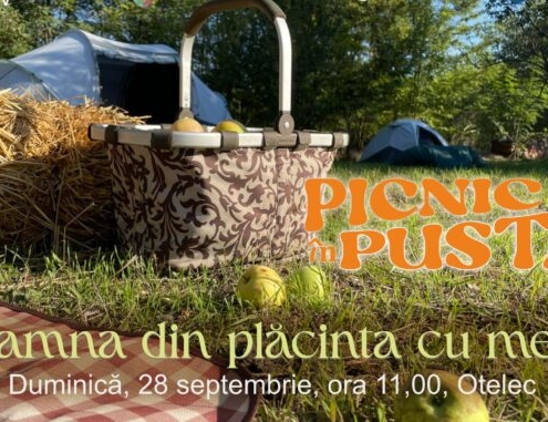 picnic in pusta