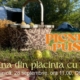 picnic in pusta