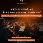 Orchestra Tineret