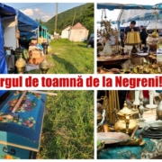 targul de la negreni
