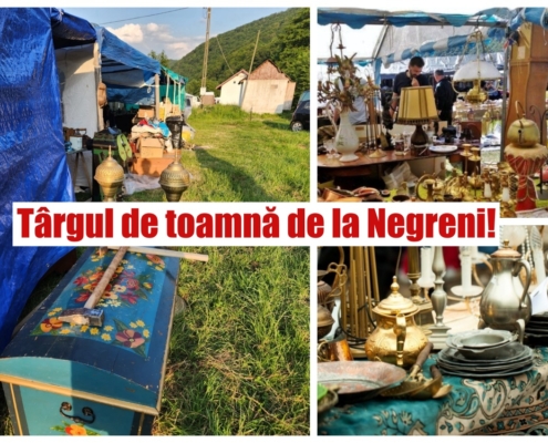targul de la negreni