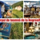 targul de la negreni