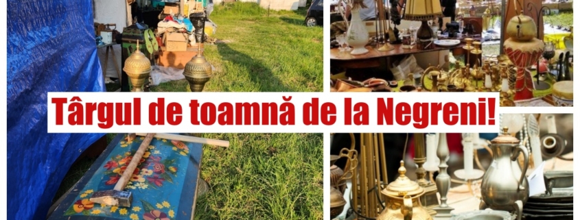 targul de la negreni