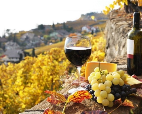 vinificatie