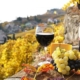 vinificatie
