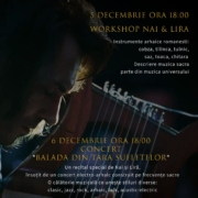 florin stefan, nai si lira