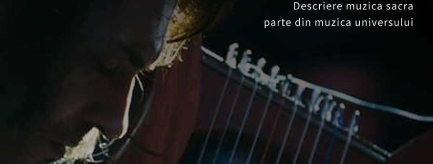 florin stefan, nai si lira