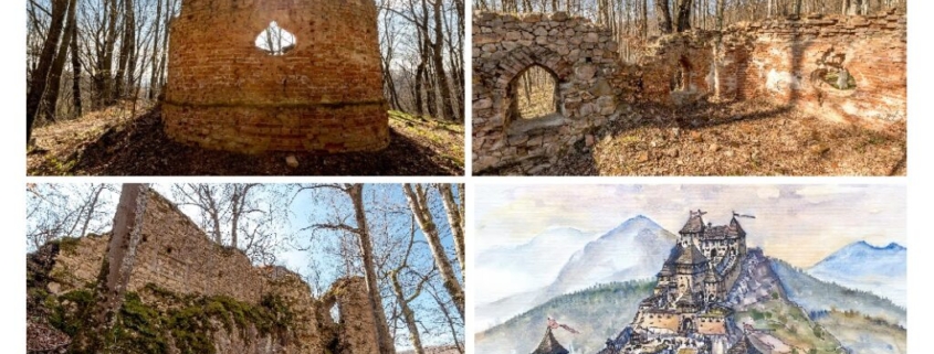 Cetatea Piatra Șoimului din Șinteu