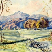 apuseni niculita papp