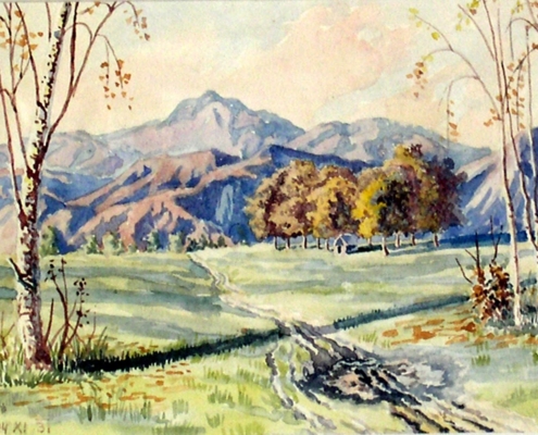 apuseni niculita papp