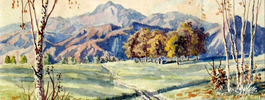 apuseni niculita papp