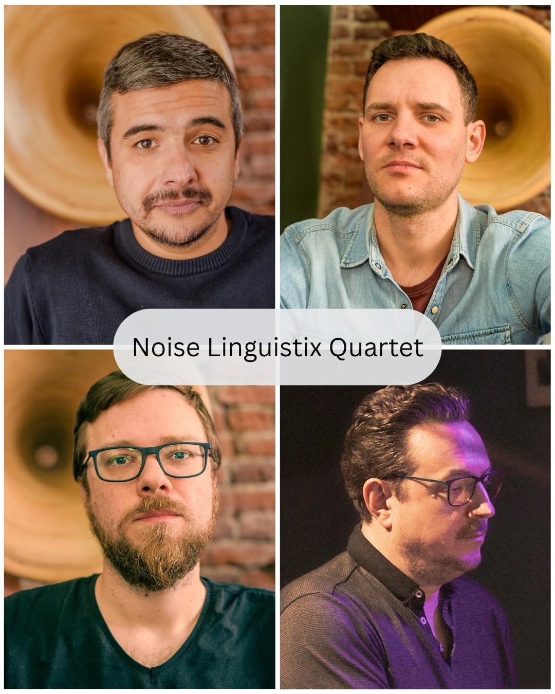 noise linguistix noise linguistix