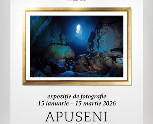 apuseni tara de piatra, apuseni, institutul geologic roman