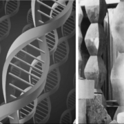 coloana adn infinita a culturii noastre