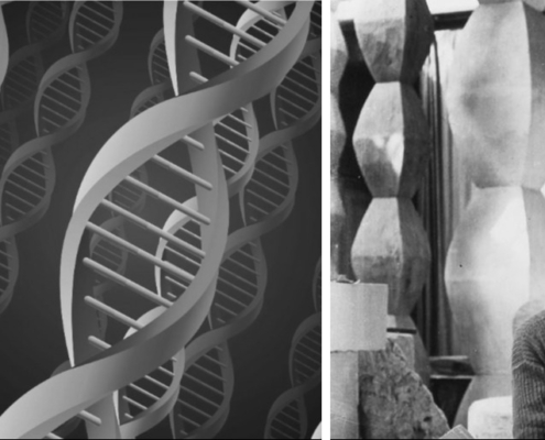 coloana adn infinita a culturii noastre